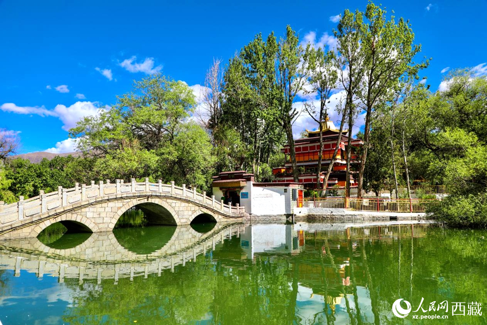 公園內(nèi)綠意盎然。