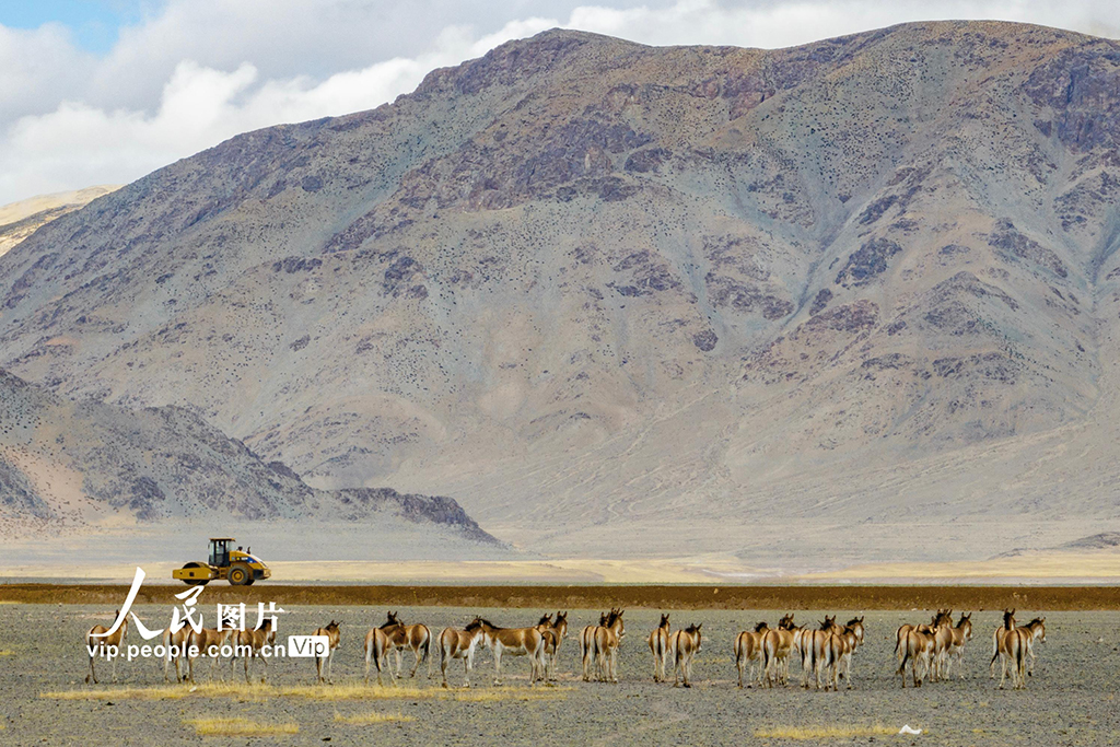 西藏阿里:高原公路建設(shè)忙【4】