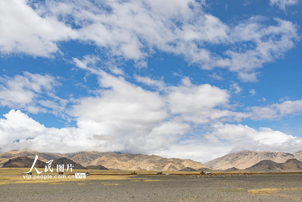 西藏阿里:高原公路建設(shè)忙【9】