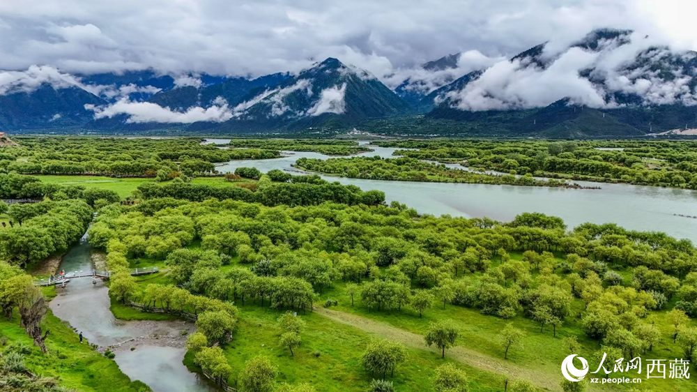 鳥瞰盛夏季節(jié)的雅尼濕地風(fēng)光。人民網(wǎng)記者 次仁羅布攝