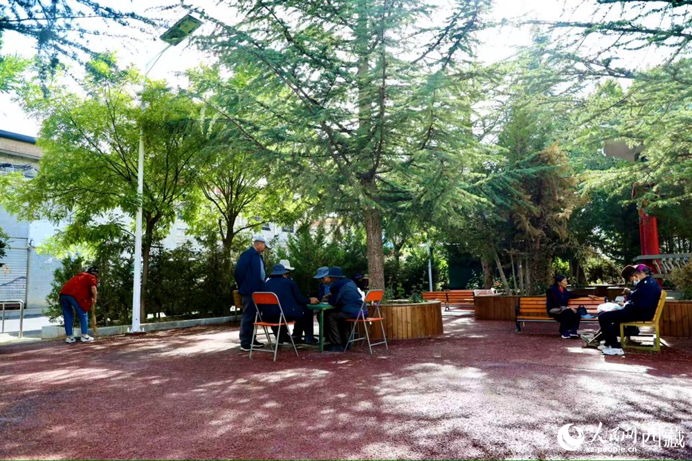老人們在綠樹成蔭的“社區(qū)會客廳”中對弈休憩。人民網(wǎng)記者 次仁羅布攝