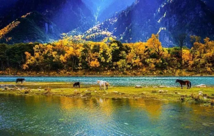 懂西藏的人，一定不會錯過林芝的秋天