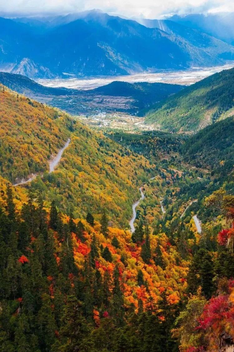 懂西藏的人，一定不會錯過林芝的秋天