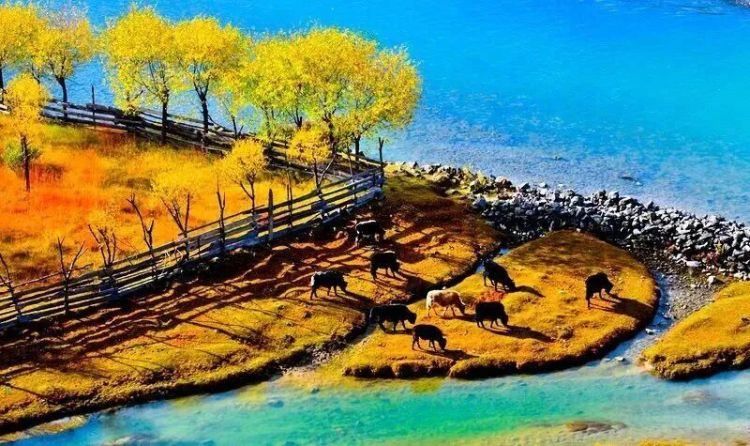 懂西藏的人，一定不會錯過林芝的秋天