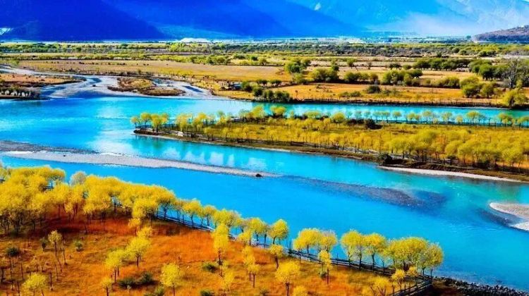 懂西藏的人，一定不會錯過林芝的秋天