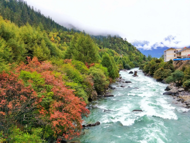 懂西藏的人，一定不會錯過林芝的秋天