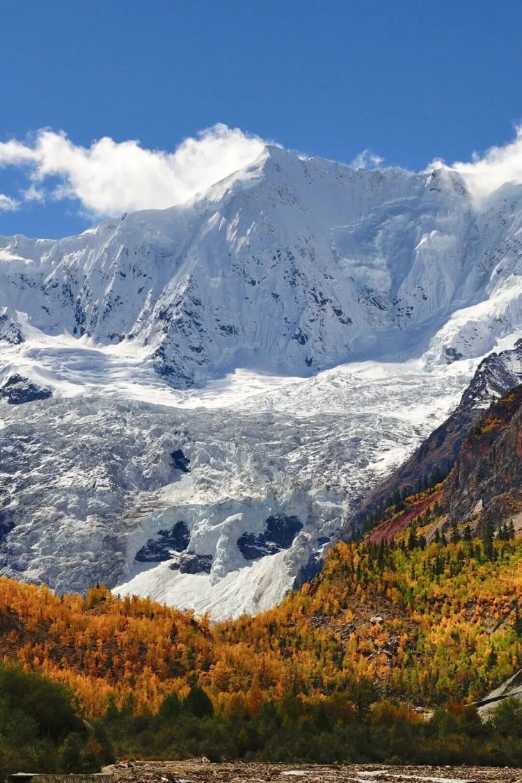 懂西藏的人，一定不會錯過林芝的秋天