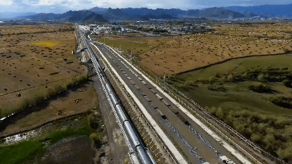 青稞“蛻變”，牦?！俺鋈Α保】次鞑剞r(nóng)牧民的“十四五”豐收答卷