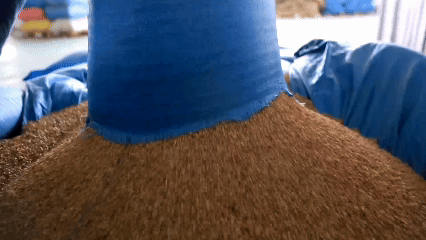 青稞“蛻變”，牦?！俺鋈Α?！看西藏農(nóng)牧民的“十四五”豐收答卷