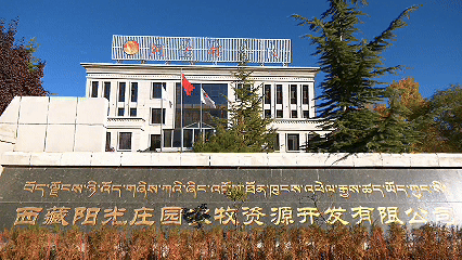 青稞“蛻變”，牦牛“出圈”！看西藏農(nóng)牧民的“十四五”豐收答卷