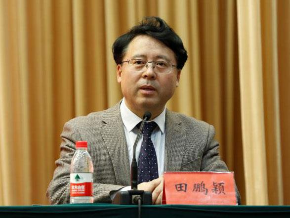 田鵬穎：投入其中、樂(lè)在其中、安身其中