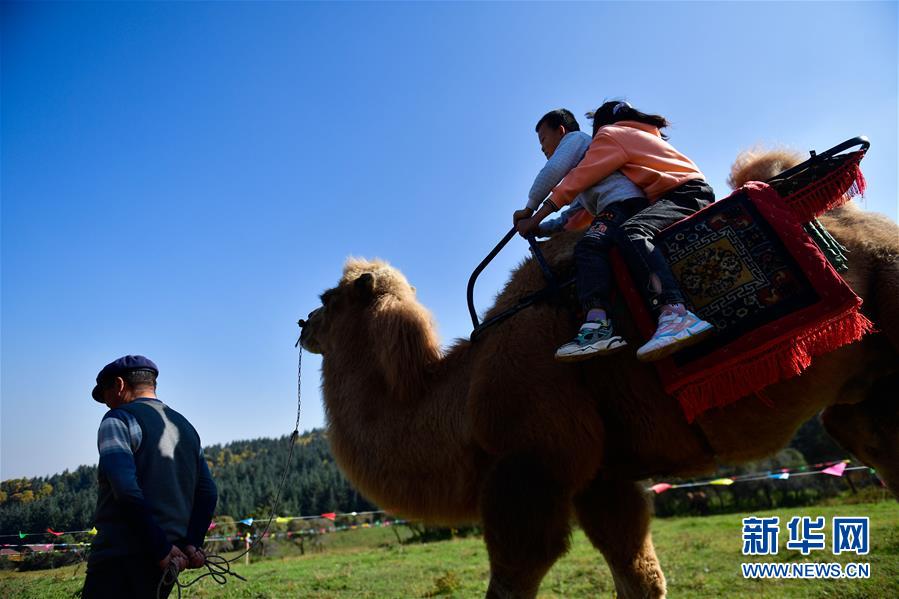 （全面建成小康社會(huì)“百城千縣萬村調(diào)研行”·圖文互動(dòng)）（7）青?？柎澹骸肮夤鞔濉钡娜A麗轉(zhuǎn)身