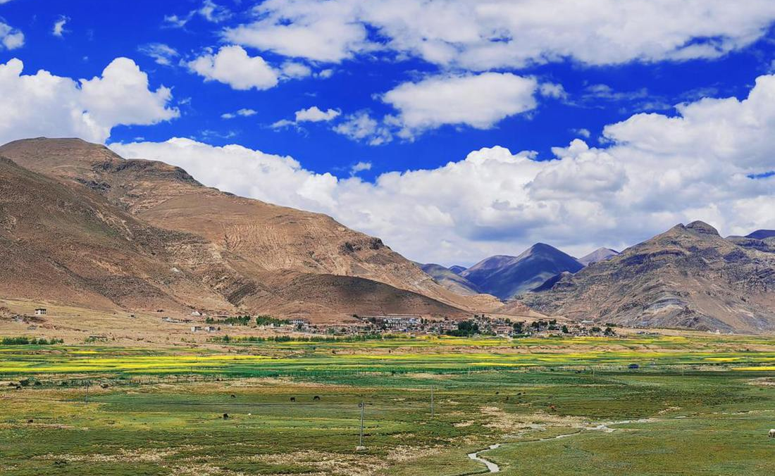 羌塘草原上的美好圖景。人民網(wǎng) 李海霞攝