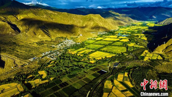 圖為山南雍布拉康附近農(nóng)田?！埼?攝