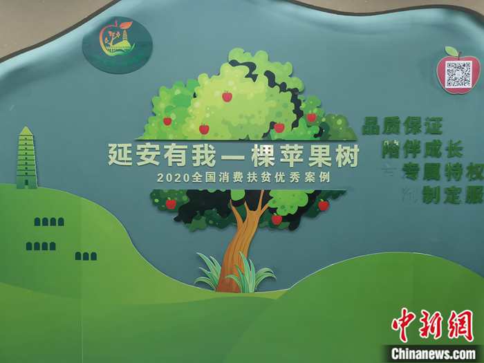 “延安有我一棵蘋果樹”。<a target='_blank'  ><p  align=