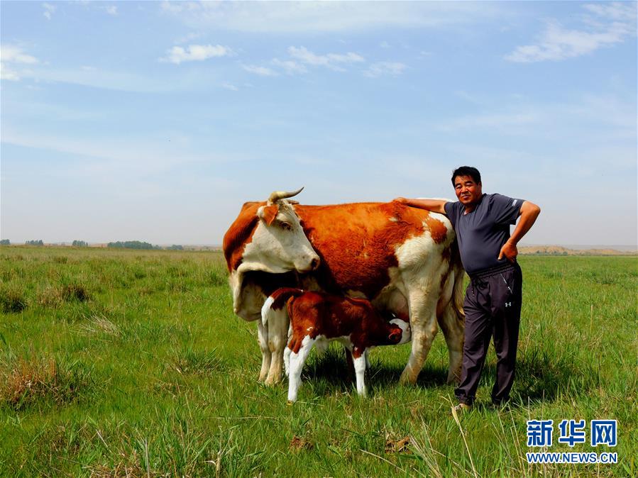 （奮斗百年路　啟航新征程·“七一勛章”獲得者·圖文互動(dòng)）（4）“草原之子”廷·巴特爾：讓草原綠起來，幫牧民富起來