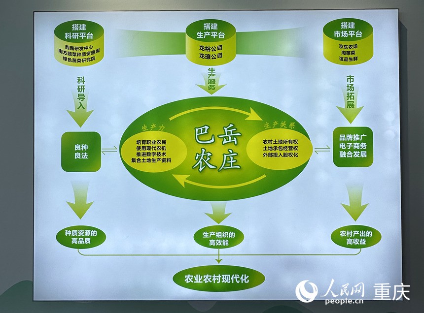 “巴岳農(nóng)莊”運(yùn)作示意圖。人民網(wǎng)記者 劉政寧攝
