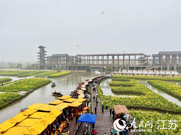 興化千垛菜花旅游節(jié)期間，游客前來打卡。人民網 王丹丹攝